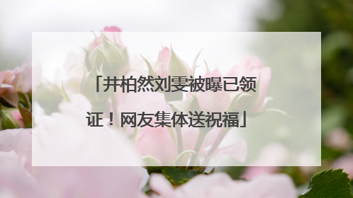 井柏然刘雯被曝已领证！网友集体送祝福